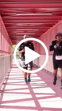 BIB:  <button type="button" onclick="openModal(27590247)" class="btn btn-primary btn-sm float-right" data-toggle="modal" data-target=".modal-high-quality">
                <i class="fa fa-download"></i> Download
                </button>